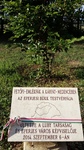 foto"