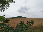 foto"