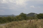 foto"