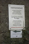 foto"