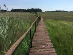 foto"