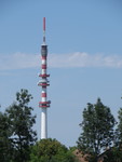 foto"