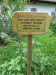foto"