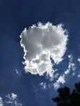 foto"