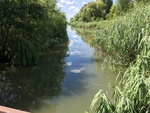 foto"