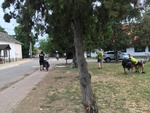 foto"