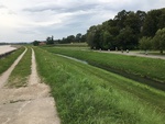 foto"