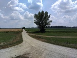 foto"