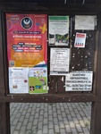 foto"