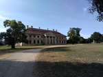 foto"